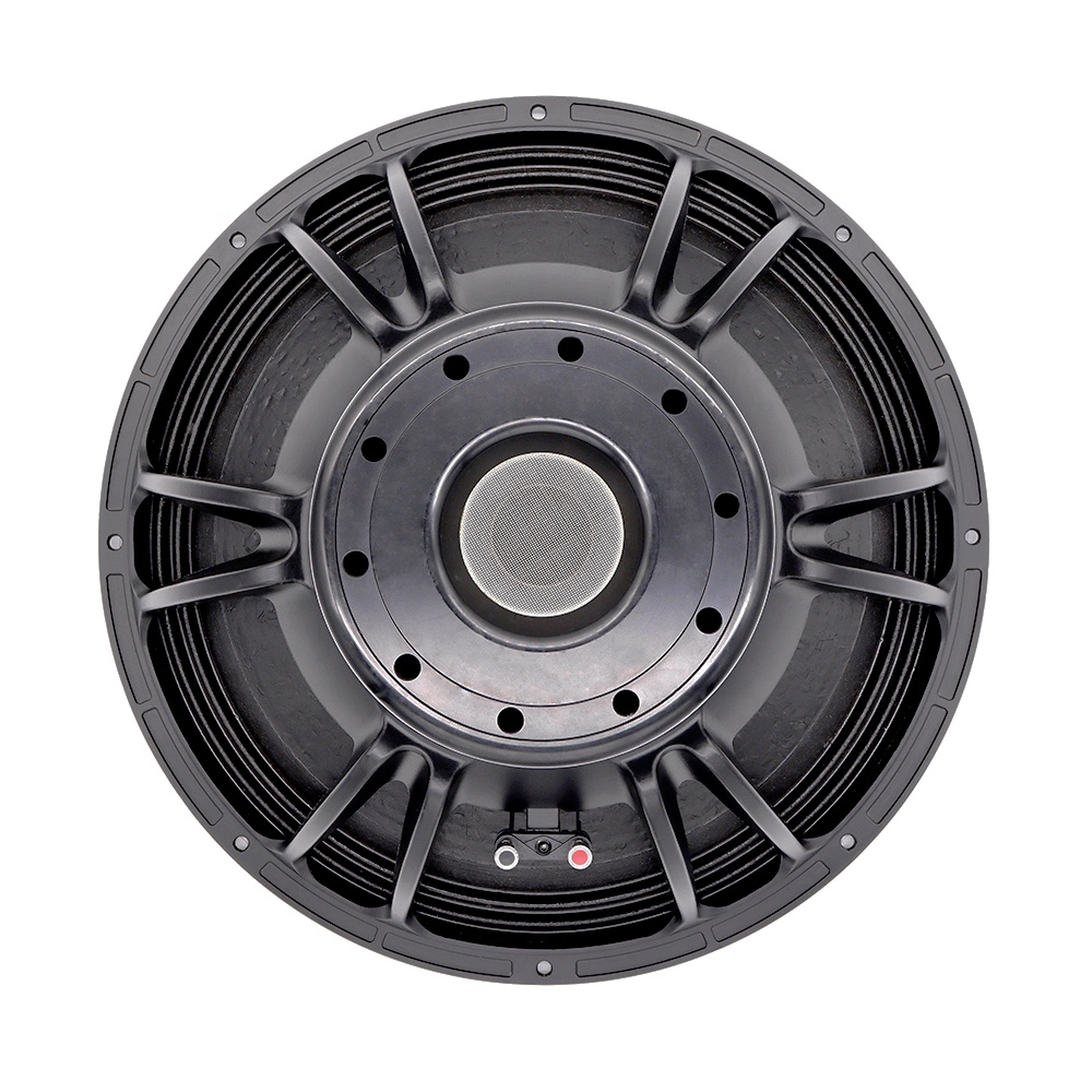21-дюймовый профессиональный а – обзор и цена Speakers