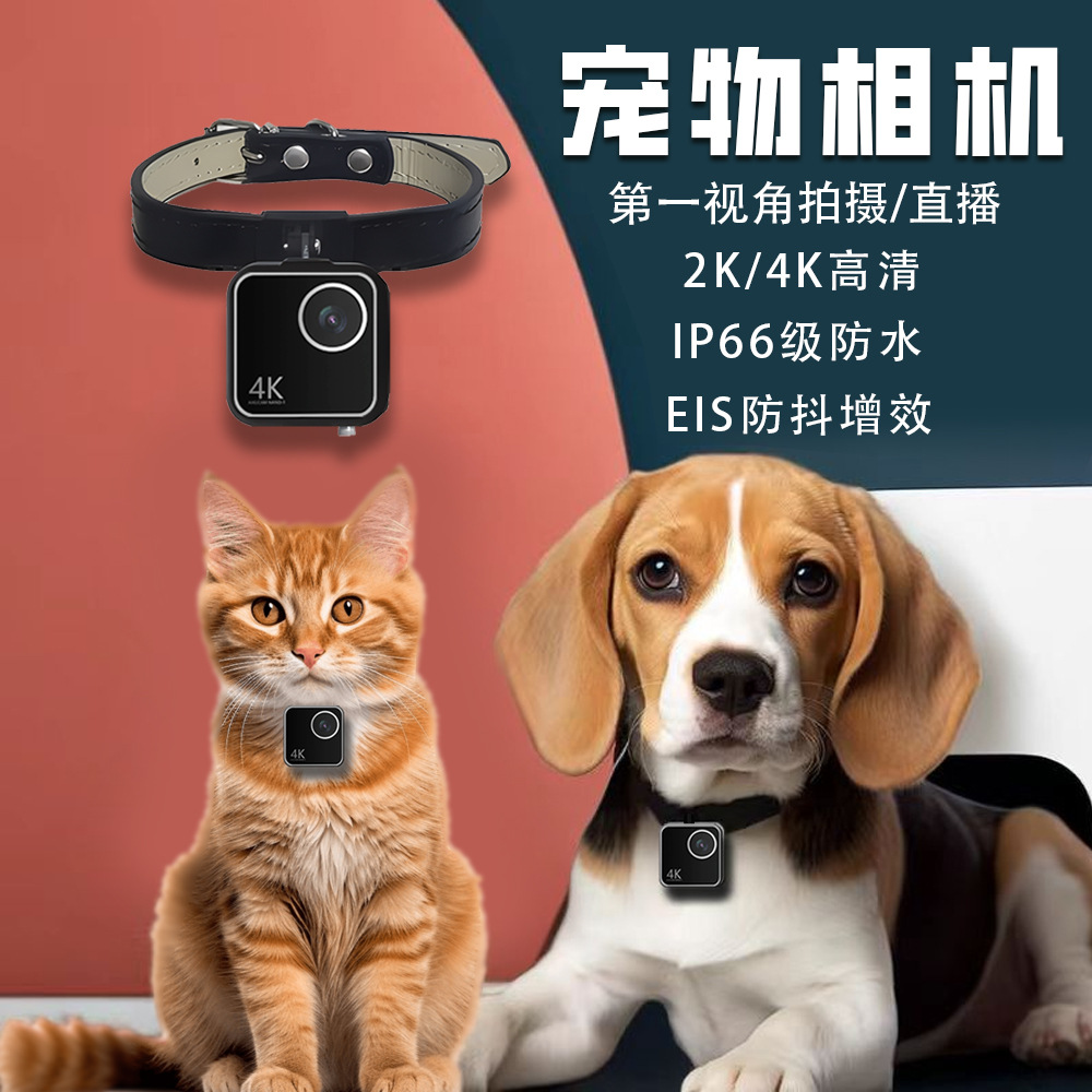 Камера для животных (кошек, со – обзор и цена Cameras