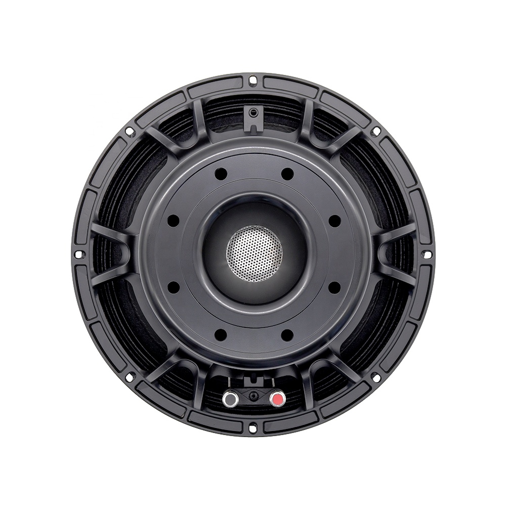 Аудиооборудование 12DS Pro: 12 – обзор и цена Speakers