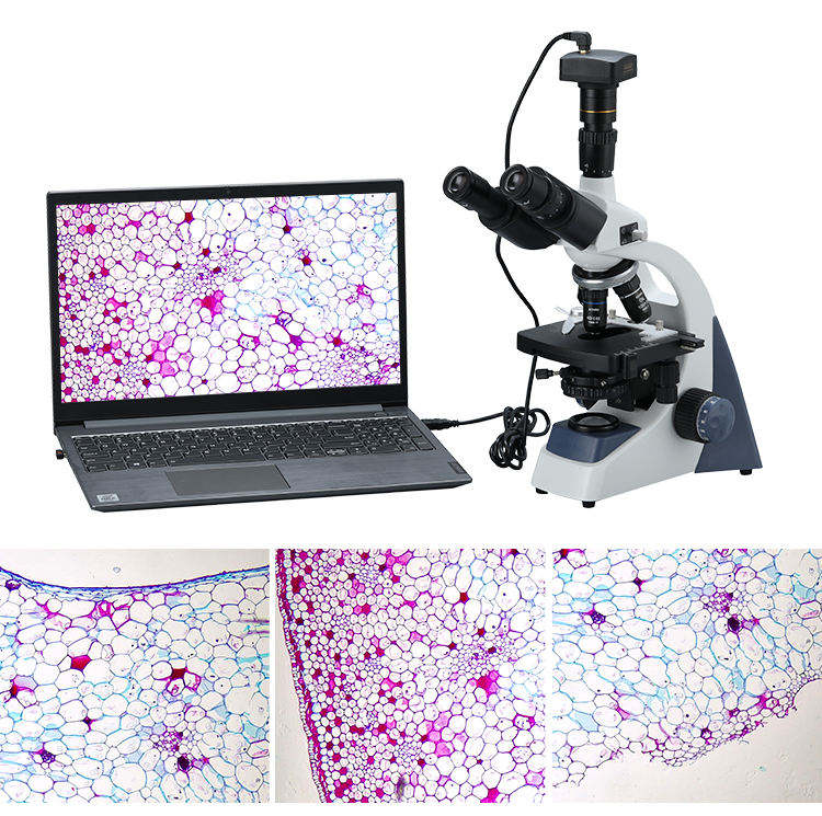 Цифровой биологический видеоми – обзор и цена Cameras